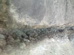 millstreet 11500.jpg